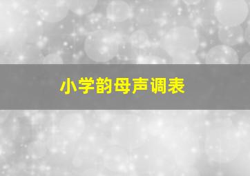 小学韵母声调表