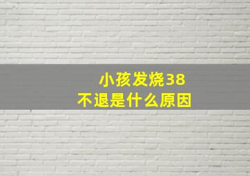 小孩发烧38不退是什么原因