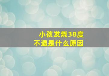 小孩发烧38度不退是什么原因