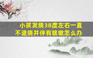 小孩发烧38度左右一直不退烧并伴有咳嗽怎么办