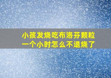 小孩发烧吃布洛芬颗粒一个小时怎么不退烧了