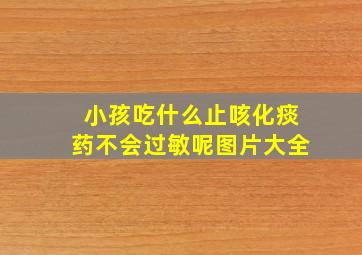 小孩吃什么止咳化痰药不会过敏呢图片大全