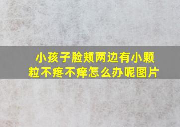 小孩子脸颊两边有小颗粒不疼不痒怎么办呢图片