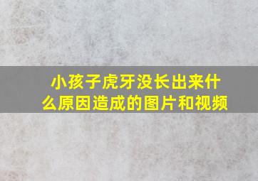 小孩子虎牙没长出来什么原因造成的图片和视频