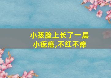 小孩脸上长了一层小疙瘩,不红不痒