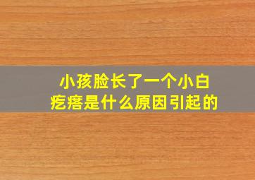 小孩脸长了一个小白疙瘩是什么原因引起的