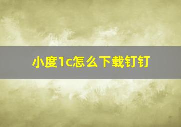 小度1c怎么下载钉钉