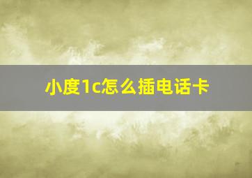 小度1c怎么插电话卡