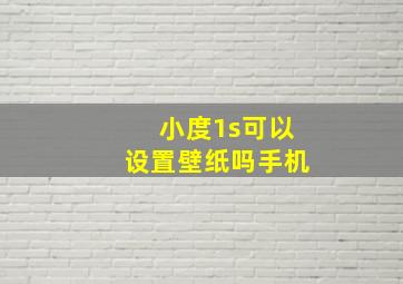 小度1s可以设置壁纸吗手机