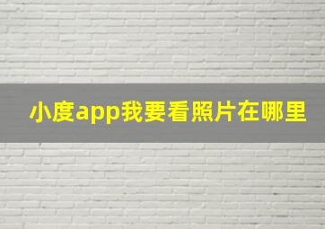 小度app我要看照片在哪里