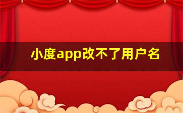 小度app改不了用户名