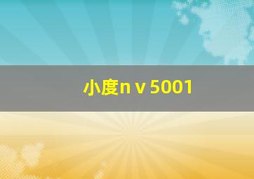 小度nⅴ5001