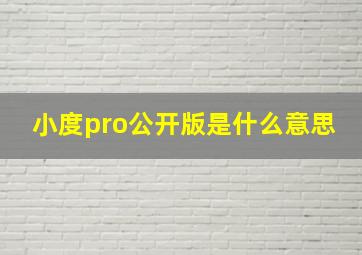 小度pro公开版是什么意思