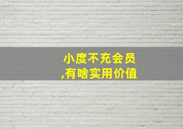 小度不充会员,有啥实用价值