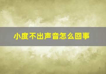 小度不出声音怎么回事