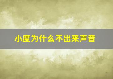 小度为什么不出来声音