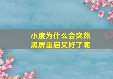 小度为什么会突然黑屏重启又好了呢