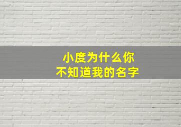 小度为什么你不知道我的名字