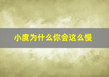 小度为什么你会这么慢