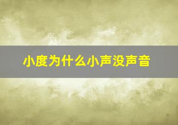 小度为什么小声没声音