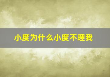 小度为什么小度不理我