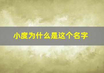 小度为什么是这个名字