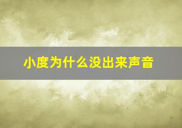 小度为什么没出来声音