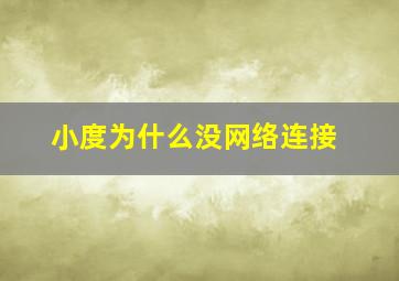 小度为什么没网络连接