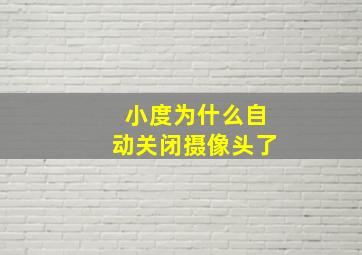 小度为什么自动关闭摄像头了