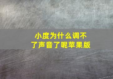 小度为什么调不了声音了呢苹果版