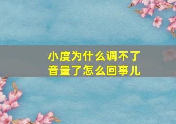 小度为什么调不了音量了怎么回事儿