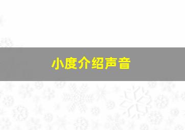 小度介绍声音