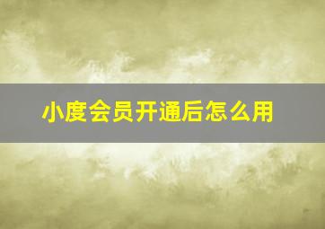 小度会员开通后怎么用