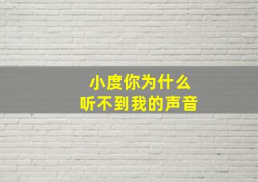 小度你为什么听不到我的声音