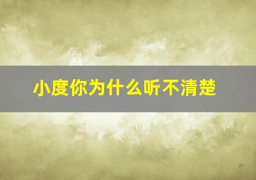 小度你为什么听不清楚