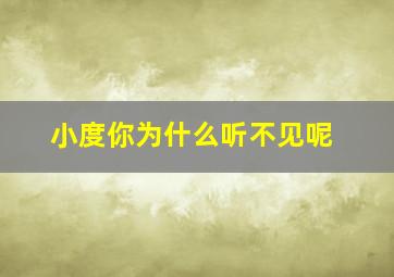 小度你为什么听不见呢