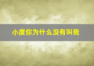 小度你为什么没有叫我