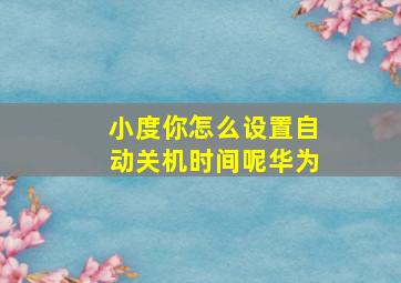 小度你怎么设置自动关机时间呢华为