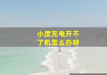 小度充电开不了机怎么办呀