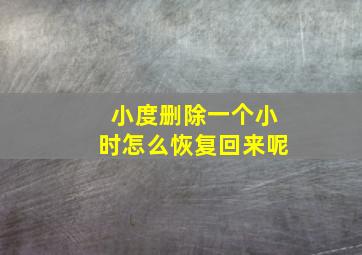 小度删除一个小时怎么恢复回来呢