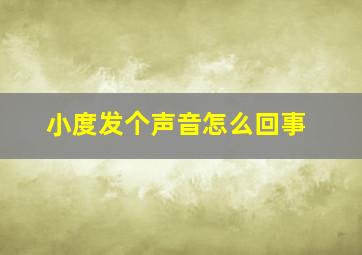 小度发个声音怎么回事