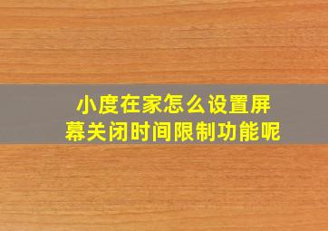 小度在家怎么设置屏幕关闭时间限制功能呢