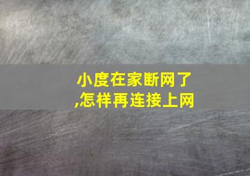 小度在家断网了,怎样再连接上网