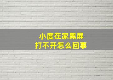 小度在家黑屏打不开怎么回事