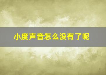 小度声音怎么没有了呢