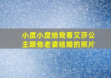 小度小度给我看艾莎公主跟他老婆结婚的照片