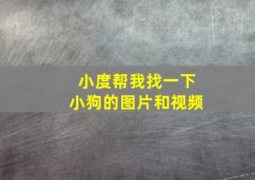 小度帮我找一下小狗的图片和视频