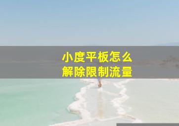 小度平板怎么解除限制流量