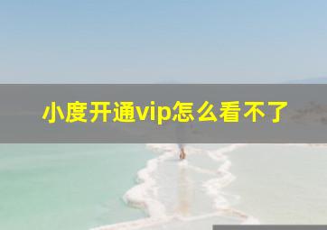 小度开通vip怎么看不了