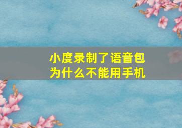 小度录制了语音包为什么不能用手机